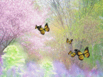 bướm vờn hoa đào và cô gái áo dài bên dòng thác trong rừng
