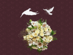 đôi bồ câu trên bó hoa trắng