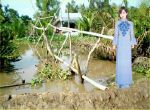 cô gái áo dài xanh trước cầu khỉ làng quê
