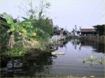 lụt miền trung Việt Nam