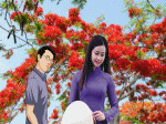 áo tím phượng sông xe hoa