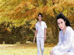 tình nhân trong lá thu vàng, líu lo chim hót hoa cười bướm mơ