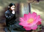 cầu nguyện bên sen hồng