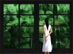 ngắm rừng tre