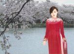 áo đỏ bên hồ hoa đào bay