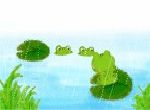 ếch cóc hồ nước trời mưa