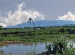 đồng quê