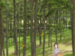 bềnh bồng biển khơi