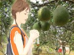 hương bưởi cù lao phố Biên Hòa