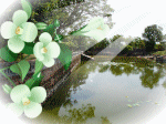 Huế