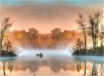 chim bắt mồi trên sông lãng đãng sương mù