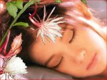 giai nhân và hoa quỳnh